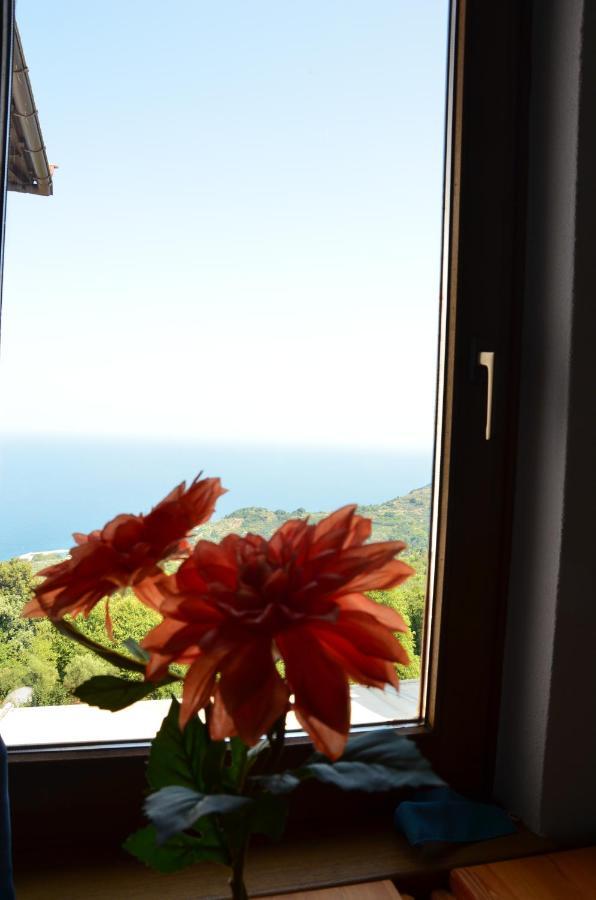 Sunray Luxury With Piano Apartment